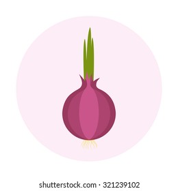 Red onion vector illustration. Flat design