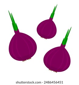 red onion vegetable cartoon style isolated white clip art vector illustration for education purpose or printable needs