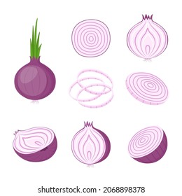 Red onion, whole and cut. Farm vegetables, vector illustration