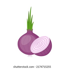 Red onion, whole and cut. Organic farm vegetable, vector illustration