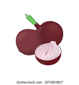 Red onion whole and half on the white background. Vector illustration 