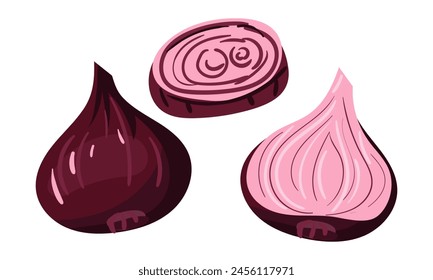 Red onion is whole and the slice is cut, emphasizing its rich color and multi-layered texture. It can be used in recipe cards, on cooking websites, or in cooking guides. Purple colors in layers Vector