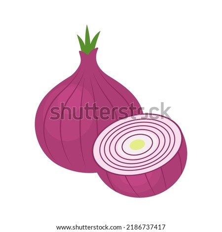 Red onions isolated on white background. Whole purple onion bulb and half. Allium cepa. Vector vegetables illustration in flat style.