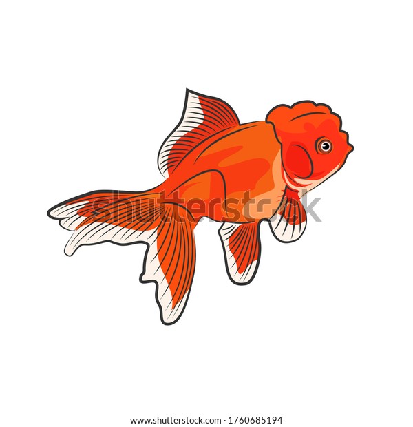 Red Oranda Goldfish Logo Vector Design Stock Vector Royalty Free