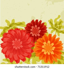 Red and orange chrysantemums on grunge background