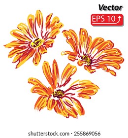 red orange daisy flower watercolor isolated on white background vector illustration