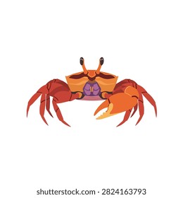 Red and Orange Fiddler Crab Illustration Isolated on White Background for Marine Life Graphic Design