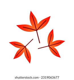 Red orange leave maple tree autumn season icon vector design