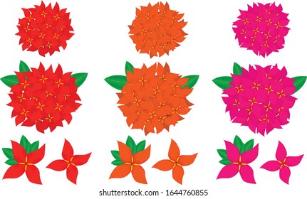 Red Orange Pink Santan Flower Vector