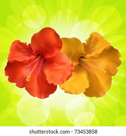 Red and orange vector hibiscus flowers on a glowing green background