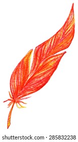 Red orange yellow bird feather vector single isolated
