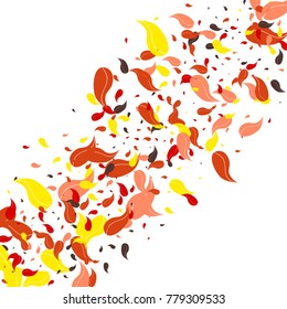Red, orange and yellow petals on a white background. Watercolor. Leaves. Pattern. Floral. Nature. Autumn. Frame of foliage. Vector illustration. Placer of leaves. Confetti made from leaves.
