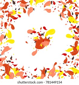 Red, orange and yellow petals on a white background. Watercolor. Leaves. Pattern. Floral. Nature. Autumn. Frame of foliage. Vector illustration. Placer of leaves. Confetti made from leaves.