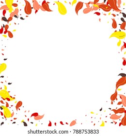 Red, orange and yellow petals on a white background. Watercolor. Leaves. Pattern. Floral. Nature. Autumn. Frame of foliage. Vector illustration. Placer of leaves. Confetti made from leaves.