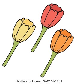 red, orange and yellow spring tulips, vector color isolated design element, hand drawn doodle element, for kids