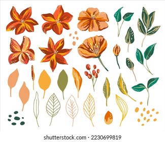 Red orange yellow vector flowers clipart. Bloom floral graphic clip art on white background. Abstract botanical isolated set illustration