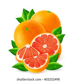 Red oranges fruits and slices with leaf isolated on white background. Realistic vector illustration.