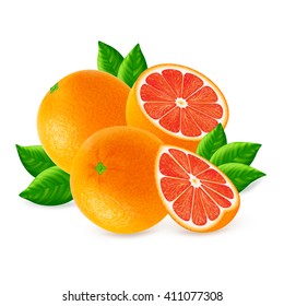 Red oranges fruits and slices with leaf isolated on white background. Realistic vector illustration.