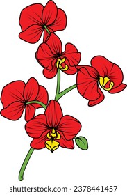 Flor vectorial de rama de orquídeas rojas, ilustración de hermosa flor de orquídea roja