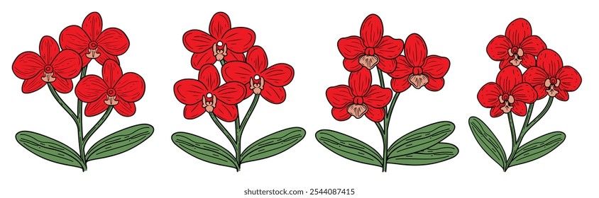 Red Orchid Flower with Green Leaves