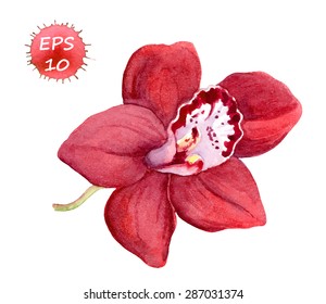 Red orchid flower for medical design (massage therapy, spa). Vector watercolor