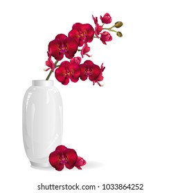 Red orchid flowers in white vase. Realistic vector illustration on white background.