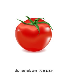 Red Organic Tomato with Green Stem 3D on White Background, Fresh Vegetable, Hand Drawn Vector Realistic Illustration EPS 10