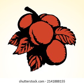 Red outline hand drawn big raw fresh prune twig stem flora grow logo emblem retro art doodle line style. Closeup view bio eco ripe sweet juicy tasty prunus health vegan jam diet autumn sky text space