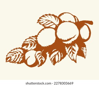 Rama con albaricoques. Dibujo de vectores