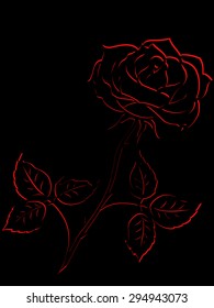 Red outline of single rose flower isolated on a black background, vector illustration