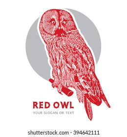 Red Owl, Single Wild Bird. Vector image in red and gray colors.