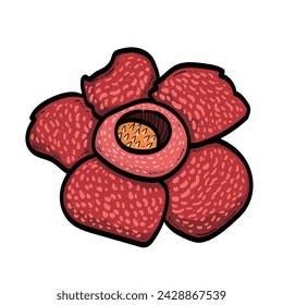 Red padma corpse Monster Big Flower Indonesia Malaysia Rafflesia arnoldii Background vector modern illustration