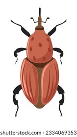 Red palm weevil beetle, isolated natural insect species and wilderness diversity and types. Rhynchophorus ferrugineus with horn, legs and wings, body and shield. Vector in flat style illustration