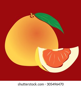 Red pamelo. Hand drawn vector illustration.
