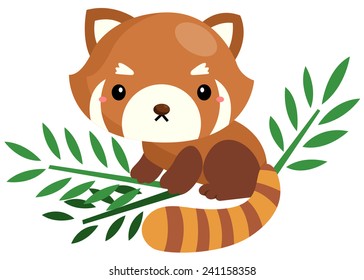 red panda