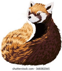 Red Panda