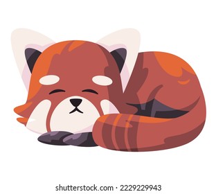 Red panda ailurus fulgens cute animal sleeping native from China