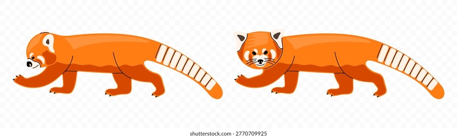 Panda rojo, ailurus fulgens y panda menor, Diseño gráfico. Firefox, mamíferos, animales, fauna y naturaleza, diseño e ilustración de Vectores