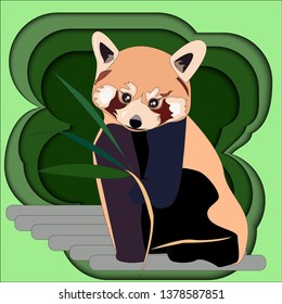 red Panda animal red book