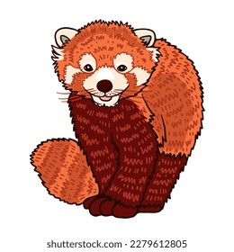 Red panda with bear-like body and thick russet fur. Red book small mammal native to eastern Himalayas and southwestern China. Cartoon style illustration