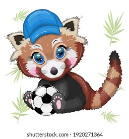 Red panda boy in blue cap hat with soccer ball, vacation, summer concept.