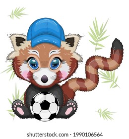 Red panda boy in blue cap hat with soccer ball, vacation, summer concept.