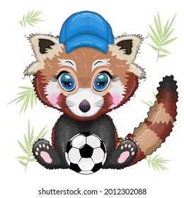 Red panda boy in blue cap hat with soccer ball, vacation, summer concept.