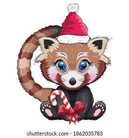 Red panda with candy cane in santa hat, cute character, new year and christmas greeting card, rare animals