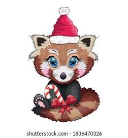 Red panda with candy kane in santa hat, cute character, new year and christmas greeting card, rare animals