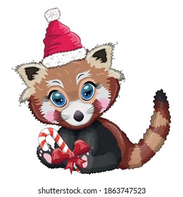 Red panda with candy kane in santa hat, cute character, new year and christmas greeting card, rare animals