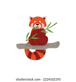 Personaje de caricatura de panda roja sentado en la percha y comiendo bambú, ilustración vectorial plana aislada en fondo blanco. Exótico animal panda chino rojo o menos.