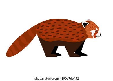 Red panda. Cartoon cute exotic animal with tail, fluffy character of zoo, vector illustration of funny redhead beast of nature isolated on white background