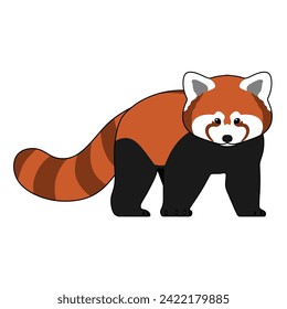 red panda cartoon illustration, wild animals