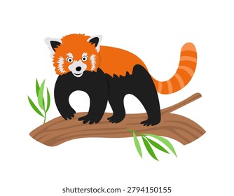 Red panda, cat bear. Wild animal of China. Vector isolated flat illustration